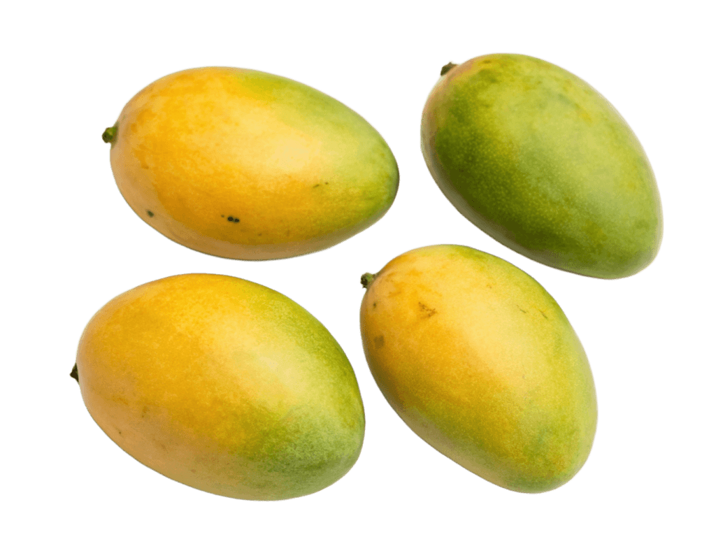 Four Mango PNG Transparent Image Free Download | PNG Perfect