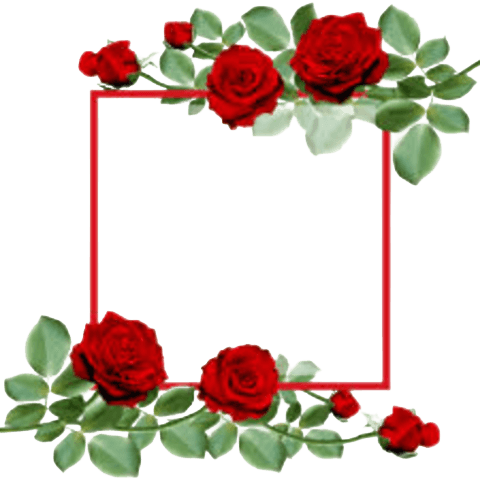 flower, flower circle, flower circle png, flower frame, flower frame png, flower photo frame png, frame png, photo frame, photo frame PNG, pink flower png