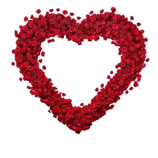 flower, flower circle, flower circle png, flower frame, flower frame png, flower photo frame png, frame png, photo frame, photo frame PNG, pink flower png