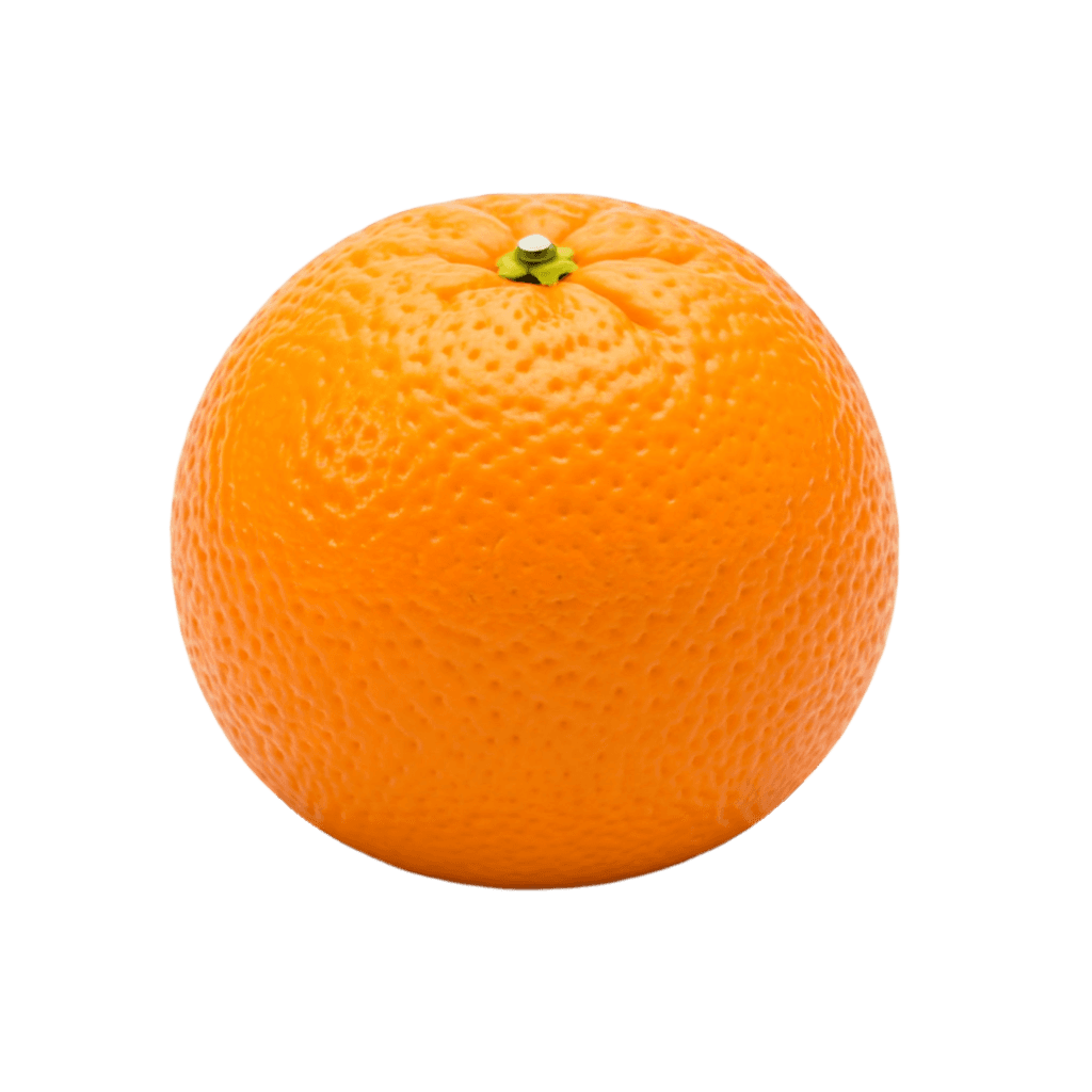 Orange PNG Transparent Image Free Download | PNG Perfect