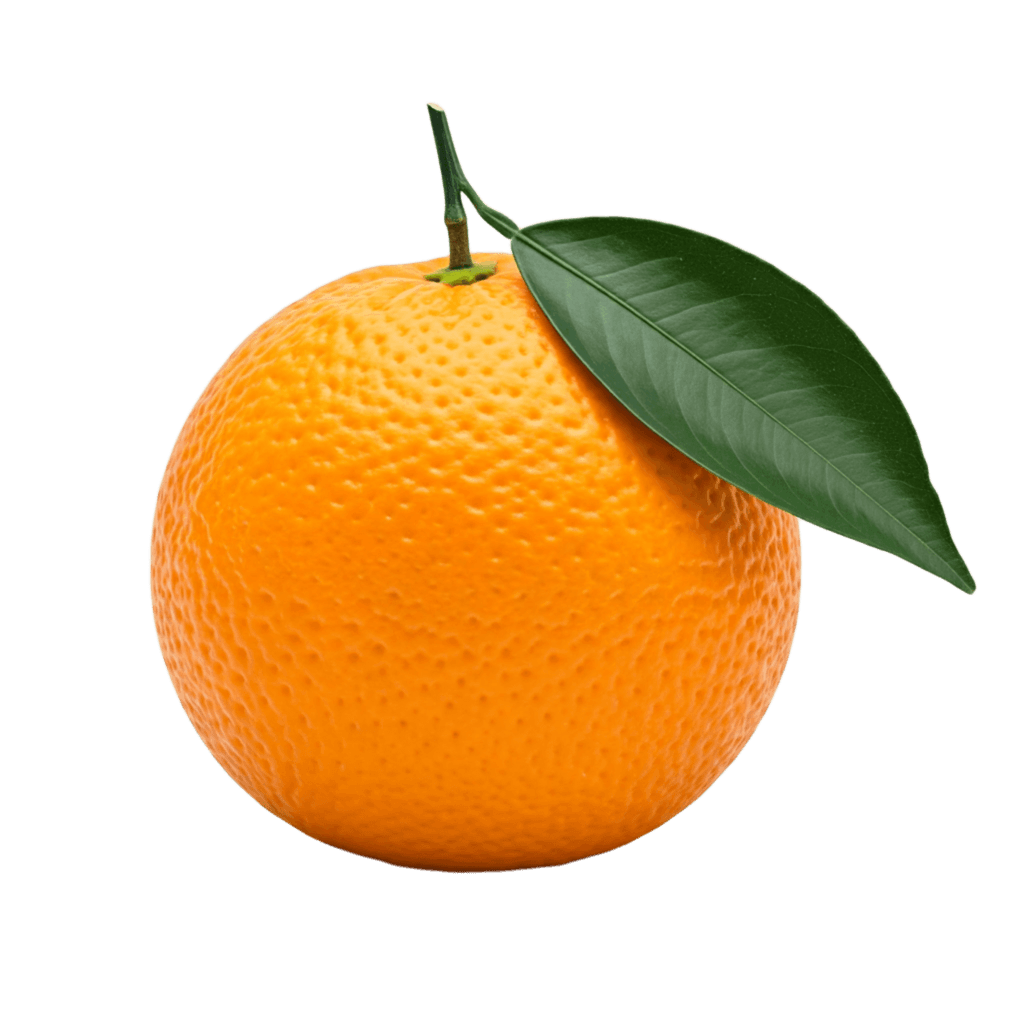 Orange PNG Transparent Image Free Download | PNG Perfect