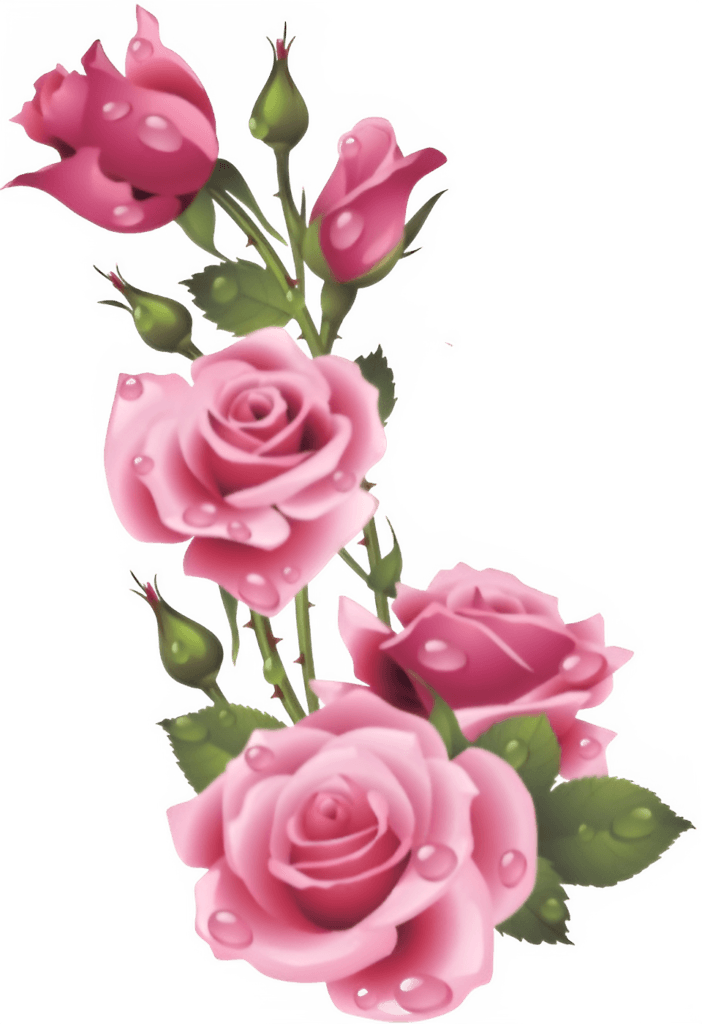 Pink Rose PNG Transparent Image Free Download | PNG Perfect