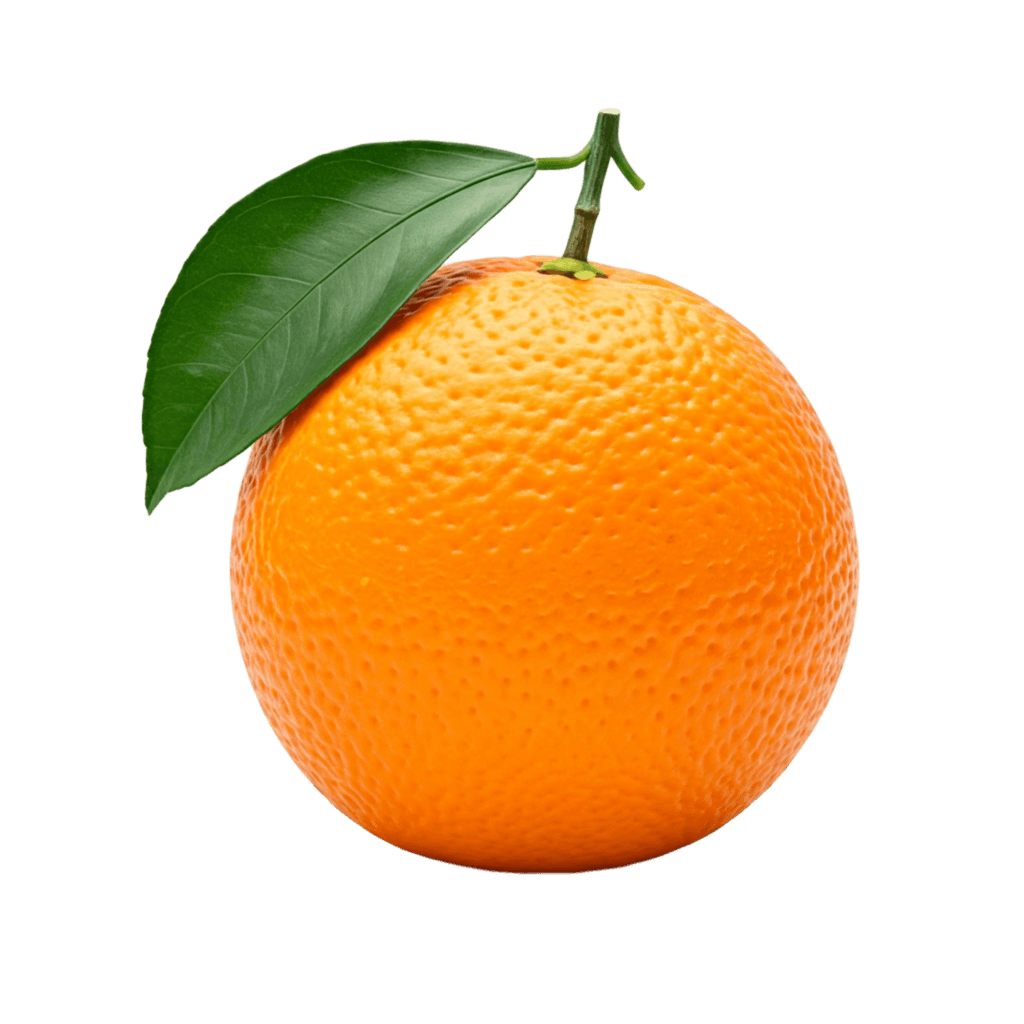 Orange PNG Transparent Image Free Download | PNG Perfect