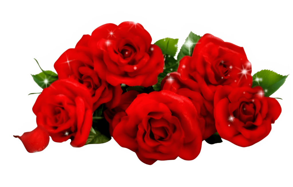 Red Roses PNG Transparent Image Free Download | PNG Perfect
