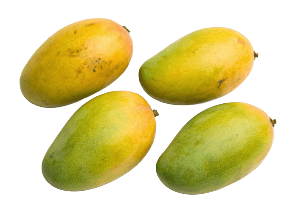 Four Mangos PNG Transparent Image Free Download | PNG Perfect
