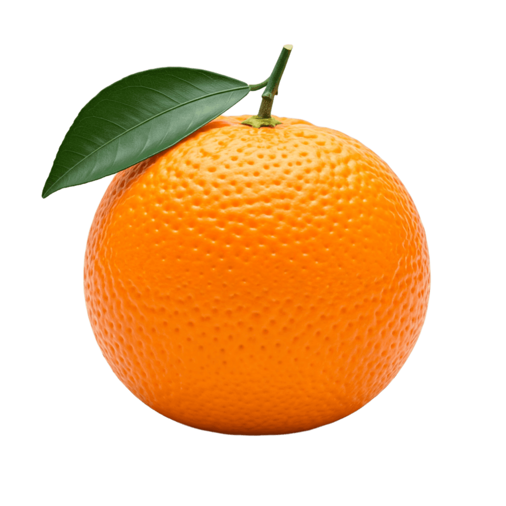 Orange PNG Transparent Image Free Download | PNG Perfect