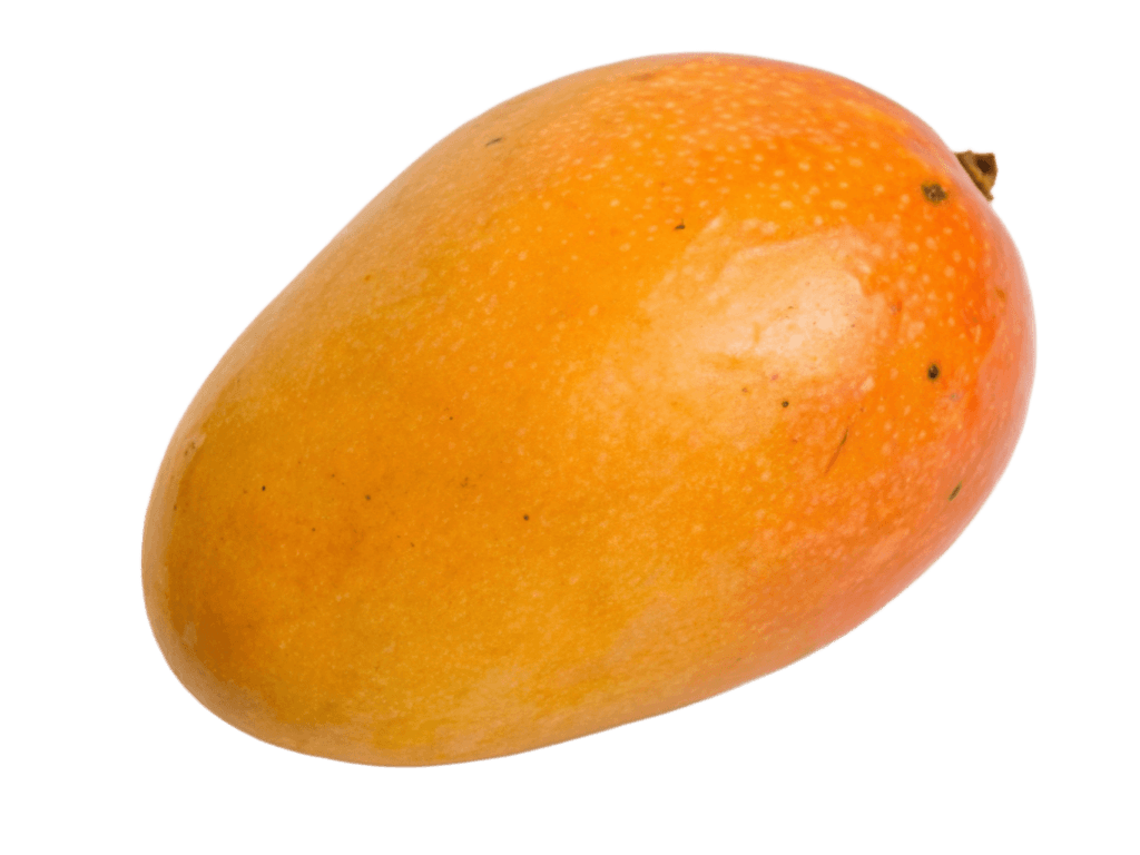 Mango PNG Transparent Image Free Download | PNG Perfect