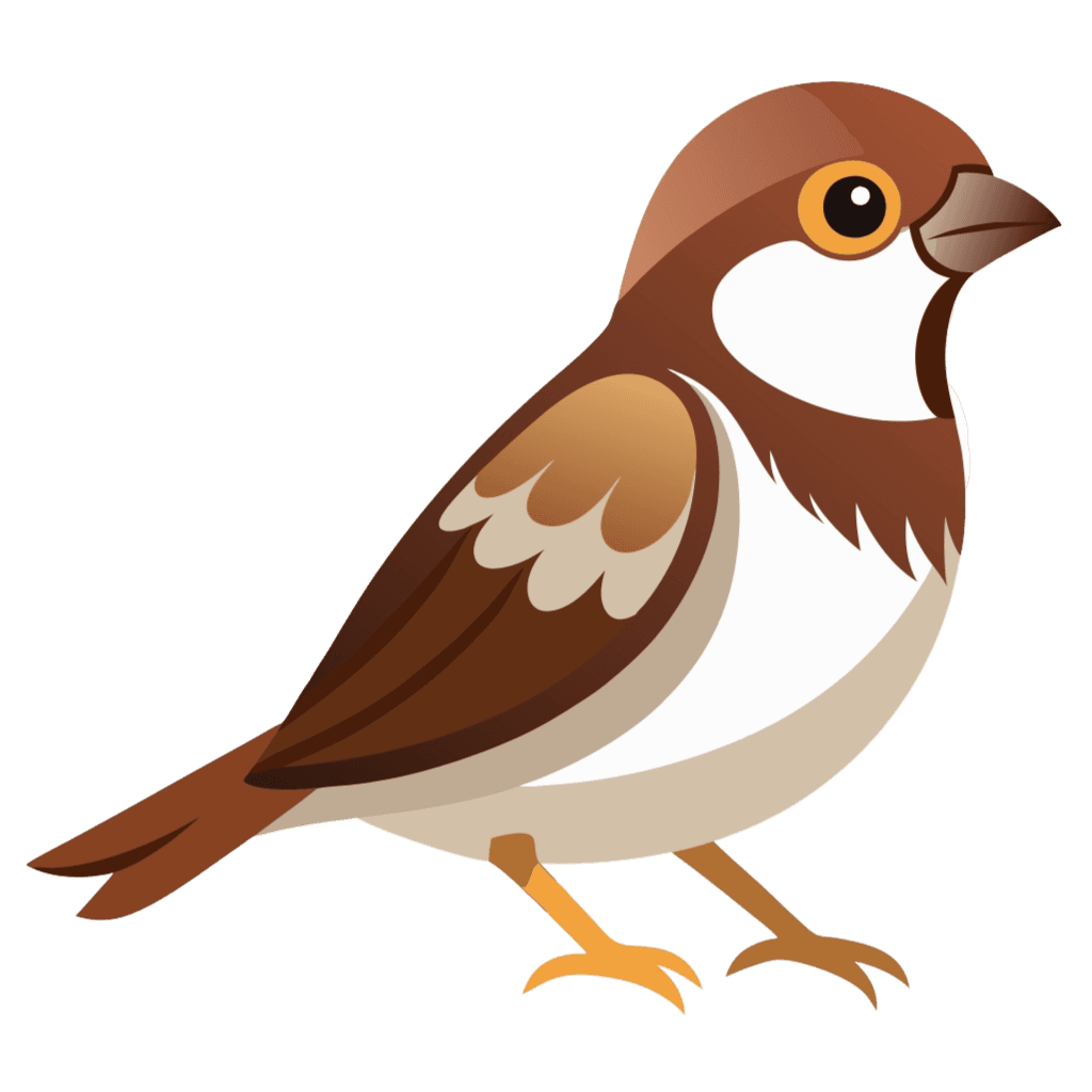 Sparrow Bird Clipart PNG Transparent Image Free Download | PNG Perfect