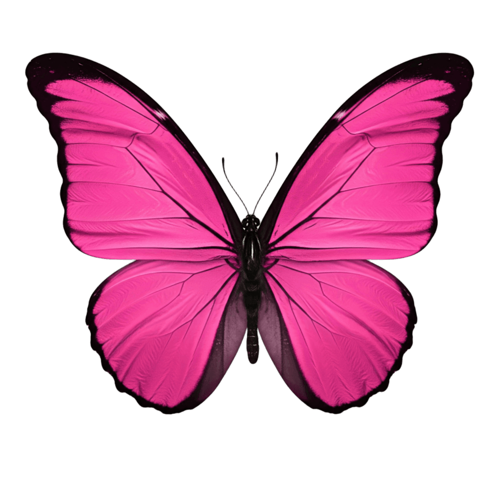 Pink Butterfly PNG Transparent Image Free Download | PNG Perfect