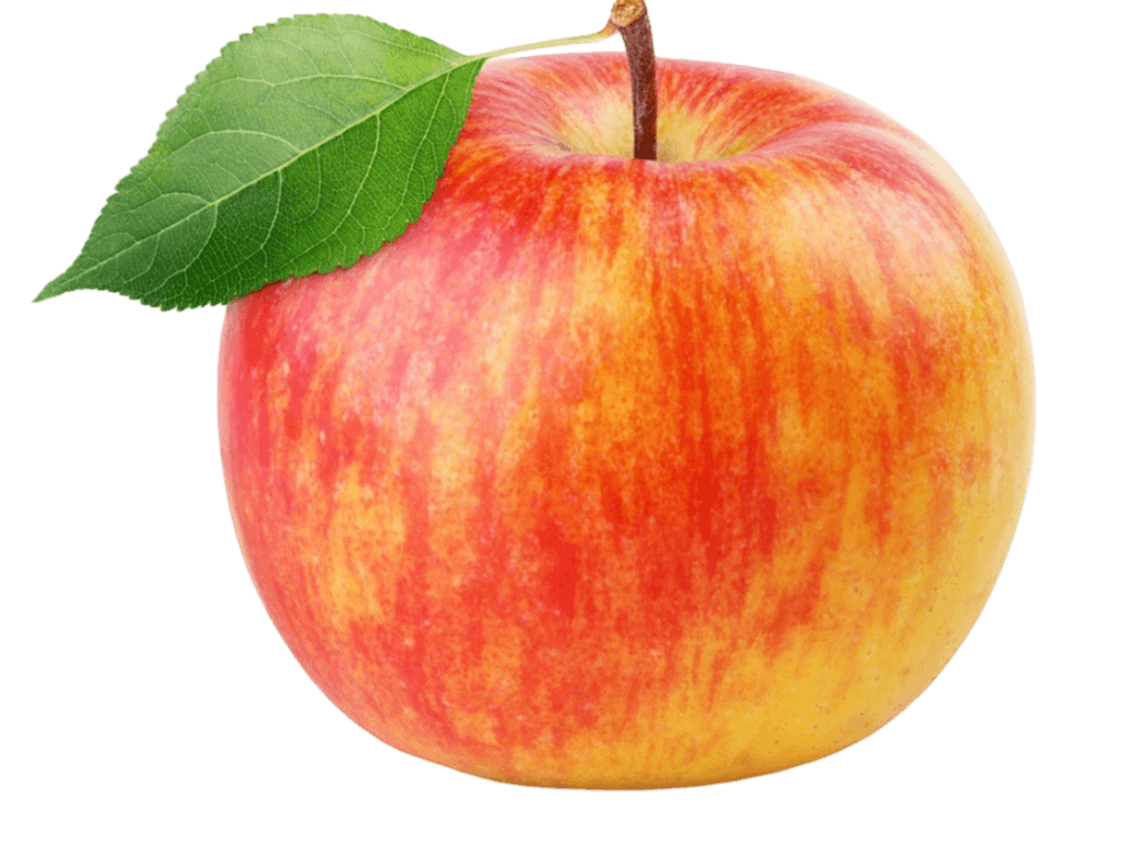 Red Apple PNG Transparent Image Free Download | PNG Perfect
