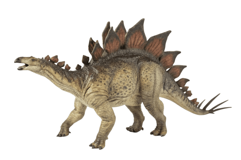 Stegosaurus Dinosaur PNG Transparent Image Free Download | PNG Perfect