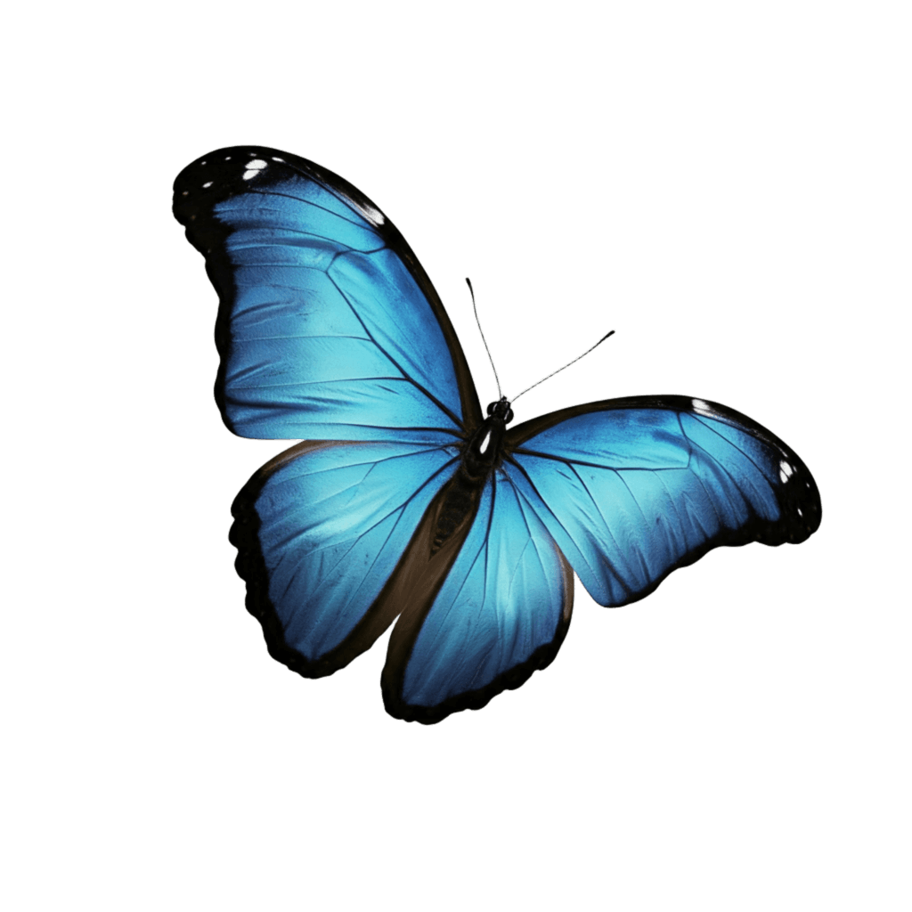 Blue Butterfly PNG Transparent Image Free Download | PNG Perfect