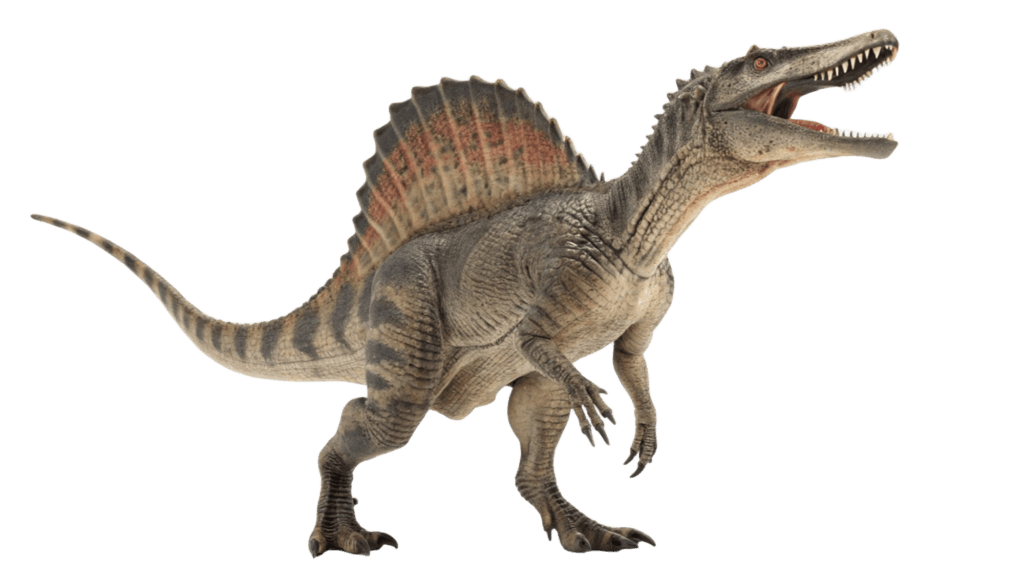 Spinosaurus Dinosaur PNG Transparent Image Free Download | PNG Perfect