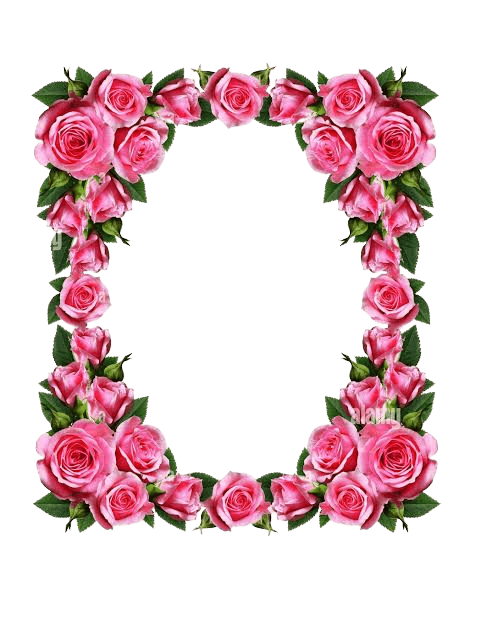 frame, flower, flower circle, flower circle png, flower frame, flower frame png, flower photo frame png, frame png, photo frame, photo frame png, pink flower png, transparent flower, transparent flower frame