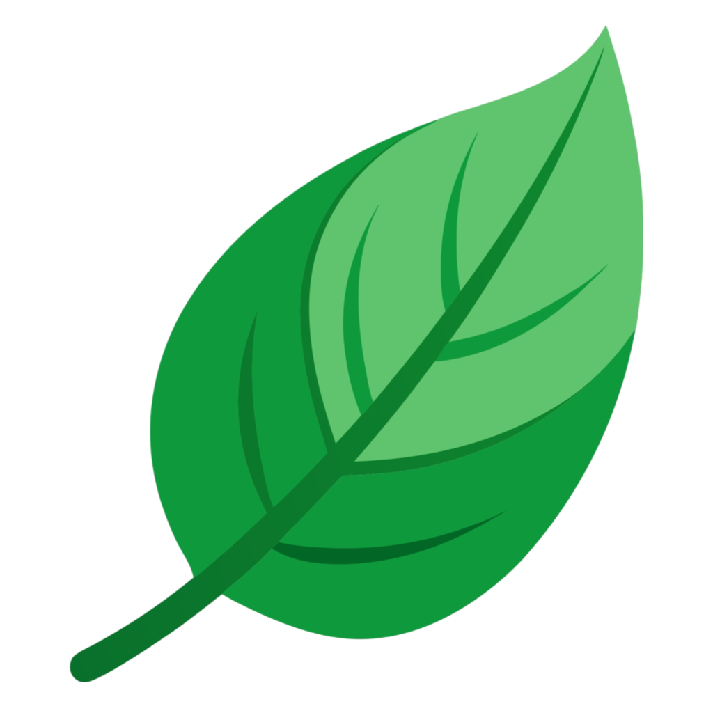 Green Leaf Clipart PNG Transparent Image Free Download | PNG Perfect
