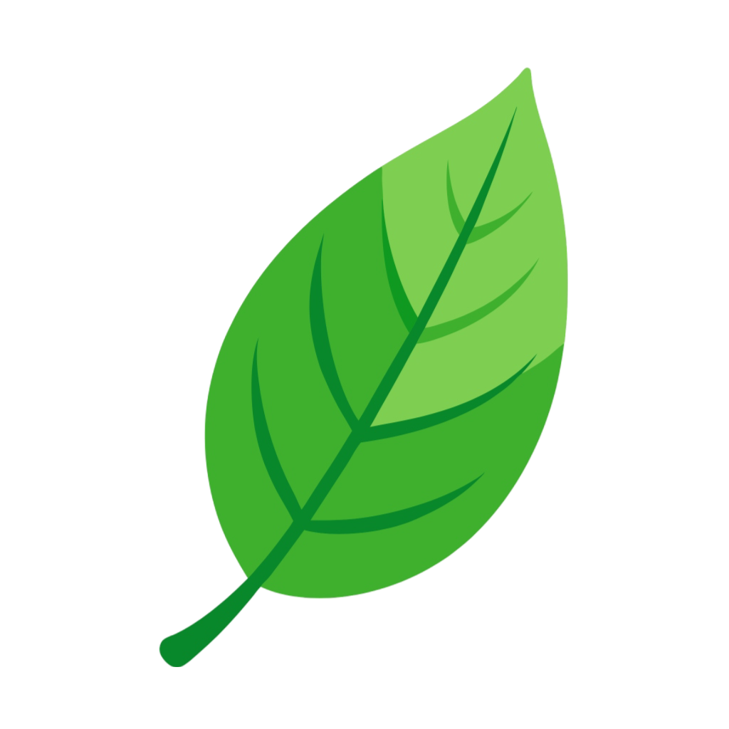 Green Leaf Clipart PNG Transparent Image Free Download | PNG Perfect