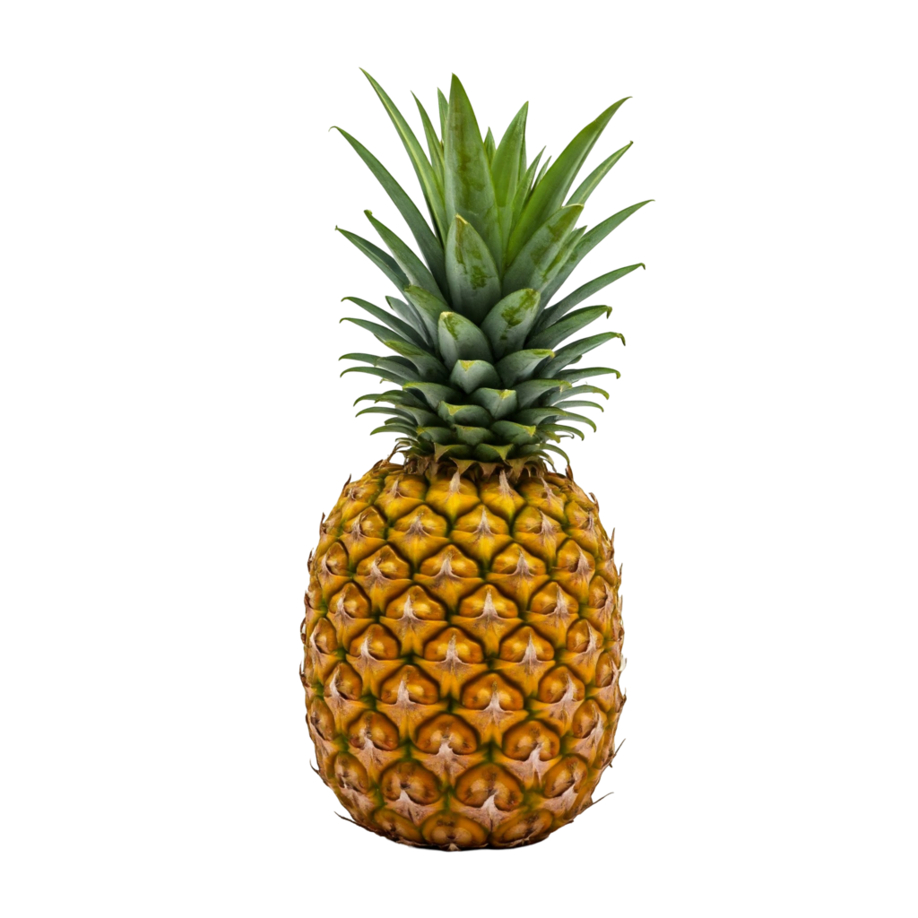 Pineapple PNG Transparent Image Free Download | PNG Perfect