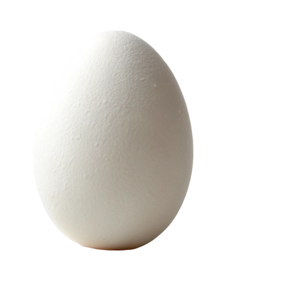 Egg PNG Transparent Image Free Download | PNG Perfect