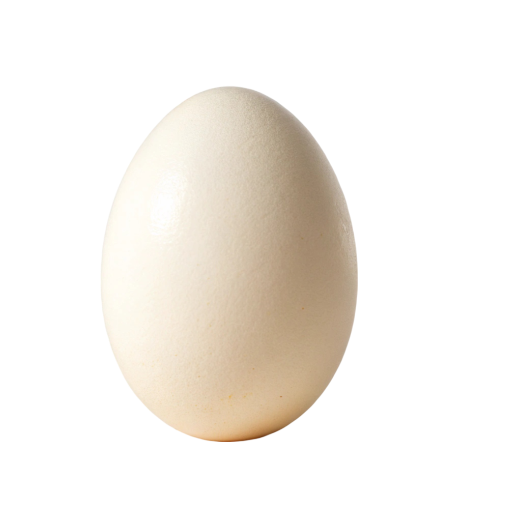 Egg PNG Transparent Image Free Download | PNG Perfect