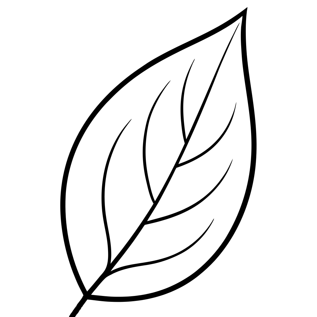 Leaf Outline PNG Transparent Image Free Download | PNG Perfect