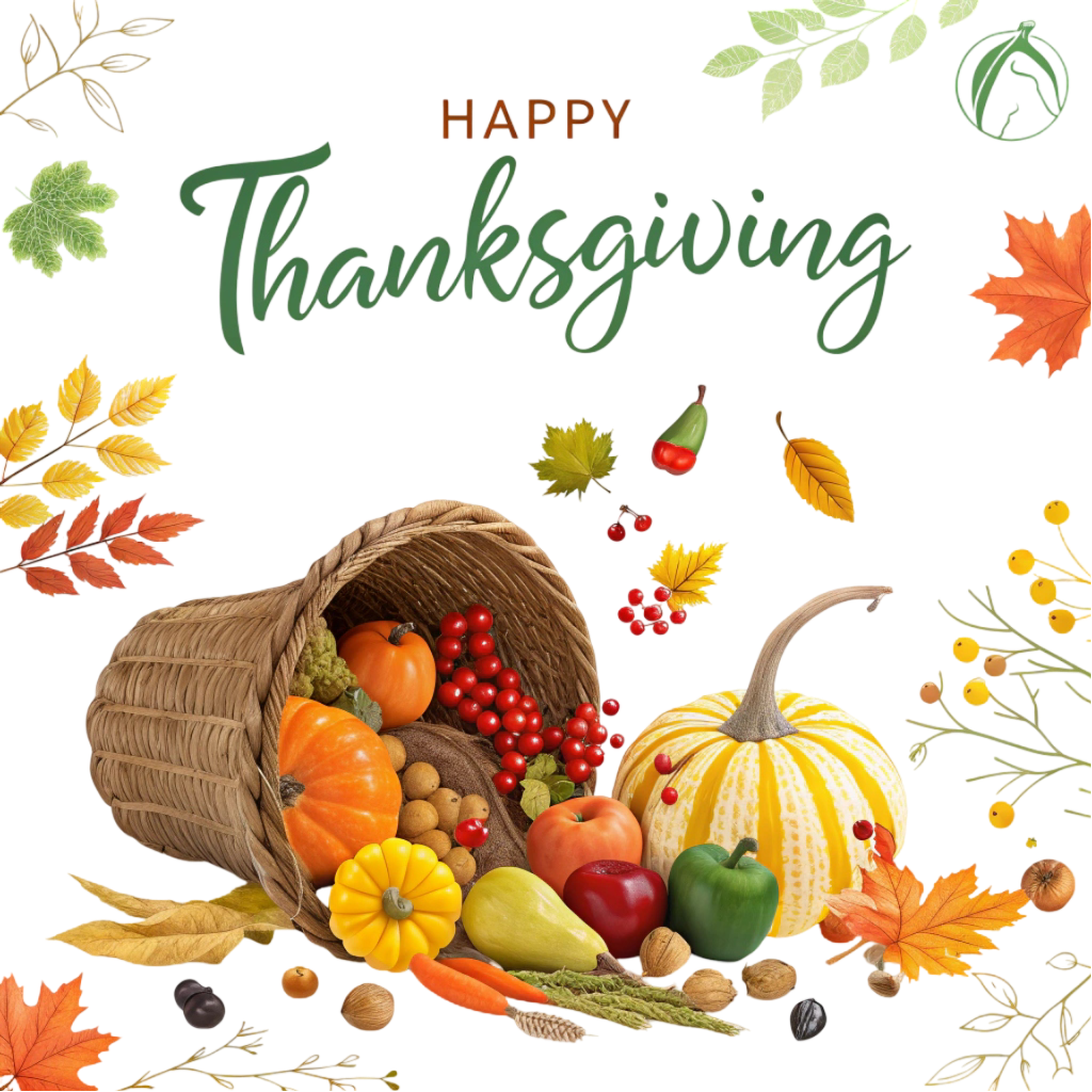 Thanksgiving PNG Transparent Image Free Download | PNG Perfect