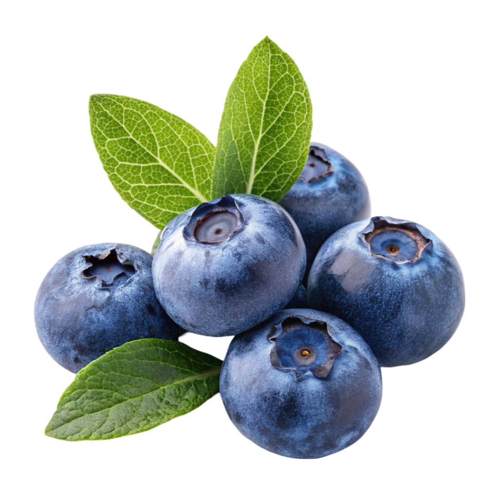 Blueberries PNG Transparent Image Free Download | PNG Perfect
