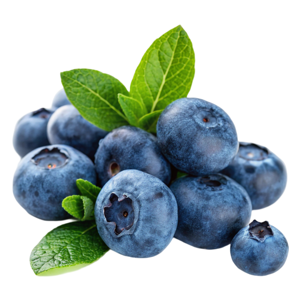 Blueberries PNG Transparent Image Free Download | PNG Perfect