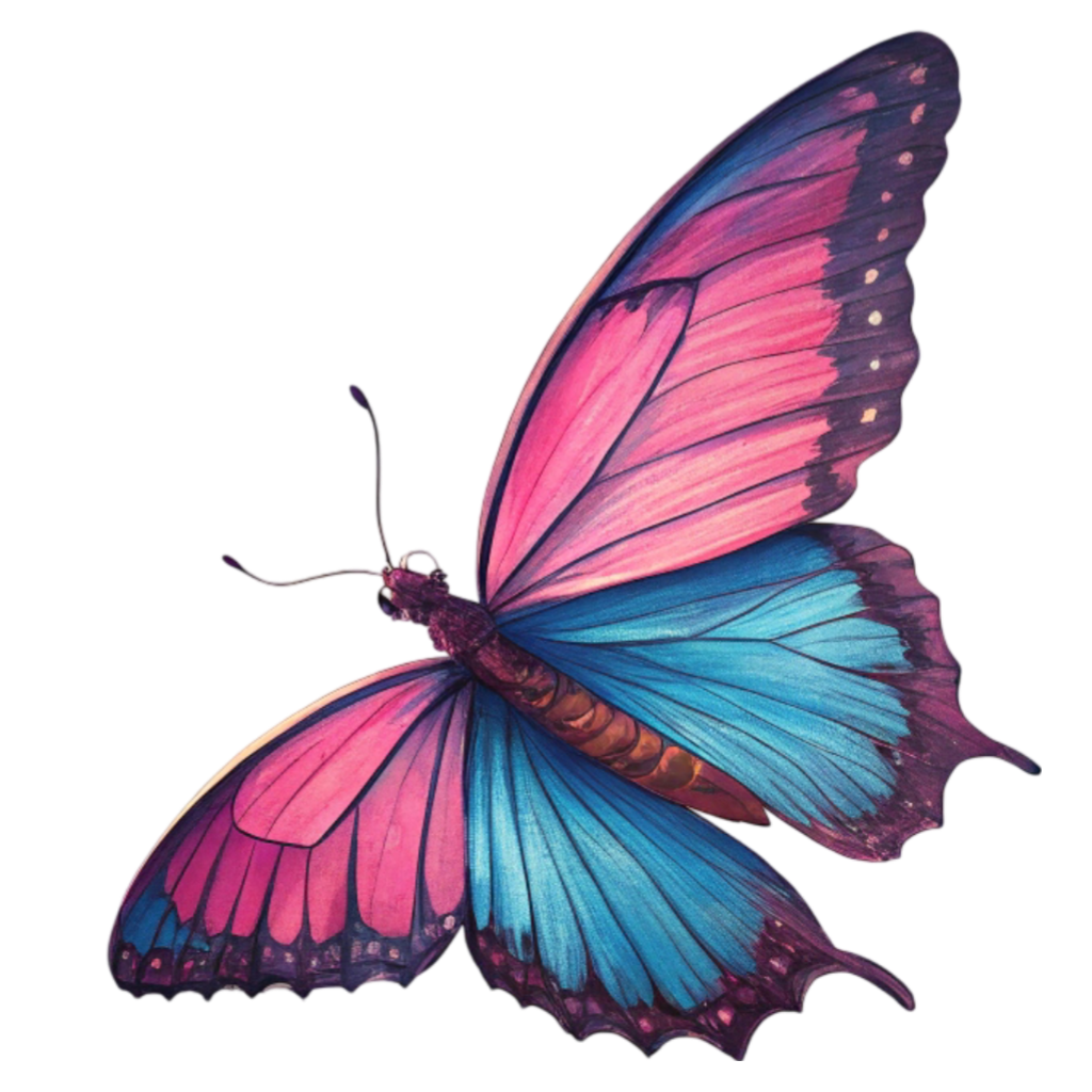 Colorful Butterfly PNG Transparent Image Free Download | PNG Perfect