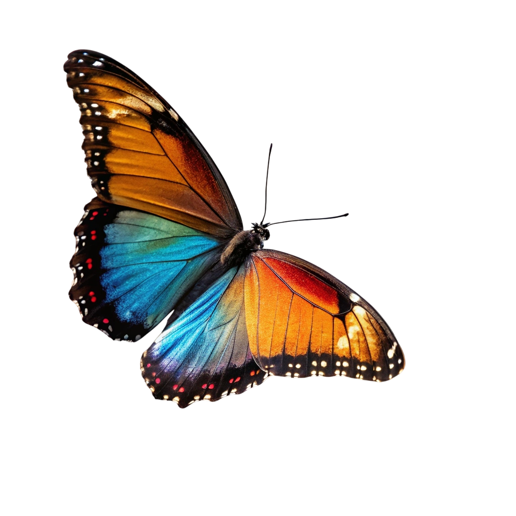 Golden, Blue & Black Butterfly PNG Transparent Image Free Download | PNG Perfect