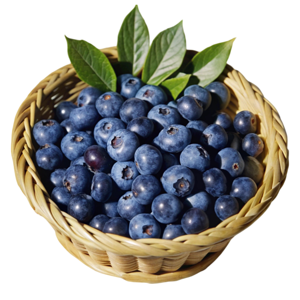 Blueberries PNG Transparent Image Free Download | PNG Perfect