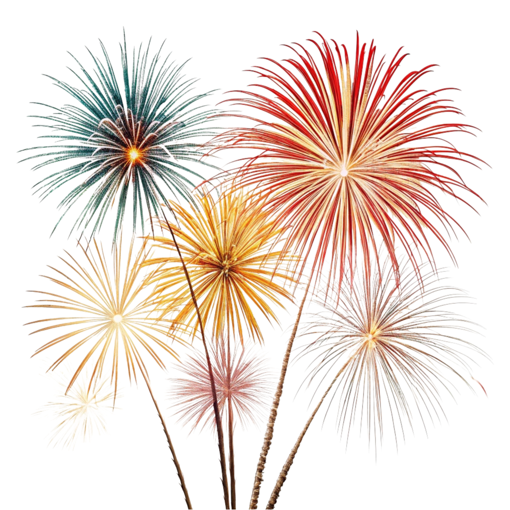 Firework PNG Transparent Image Free Download | PNG Perfect