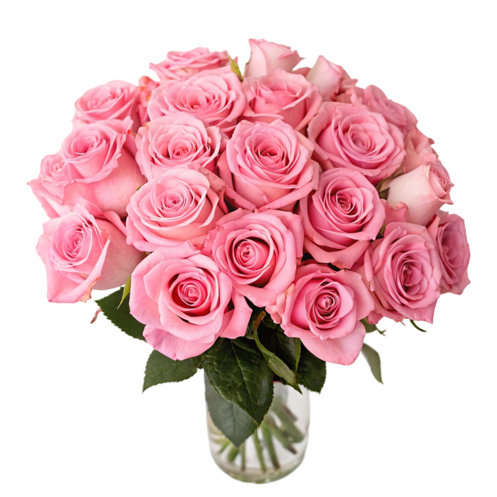 Vase Of Pink Roses PNG Transparent Image For Free Download Transparent Image Free Download | PNG Perfect