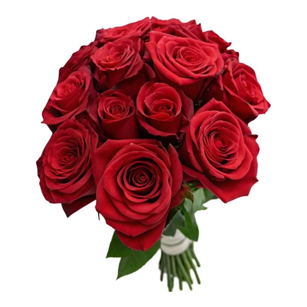 , Red Roses PNG Transparent Image Free Download | PNG Perfect