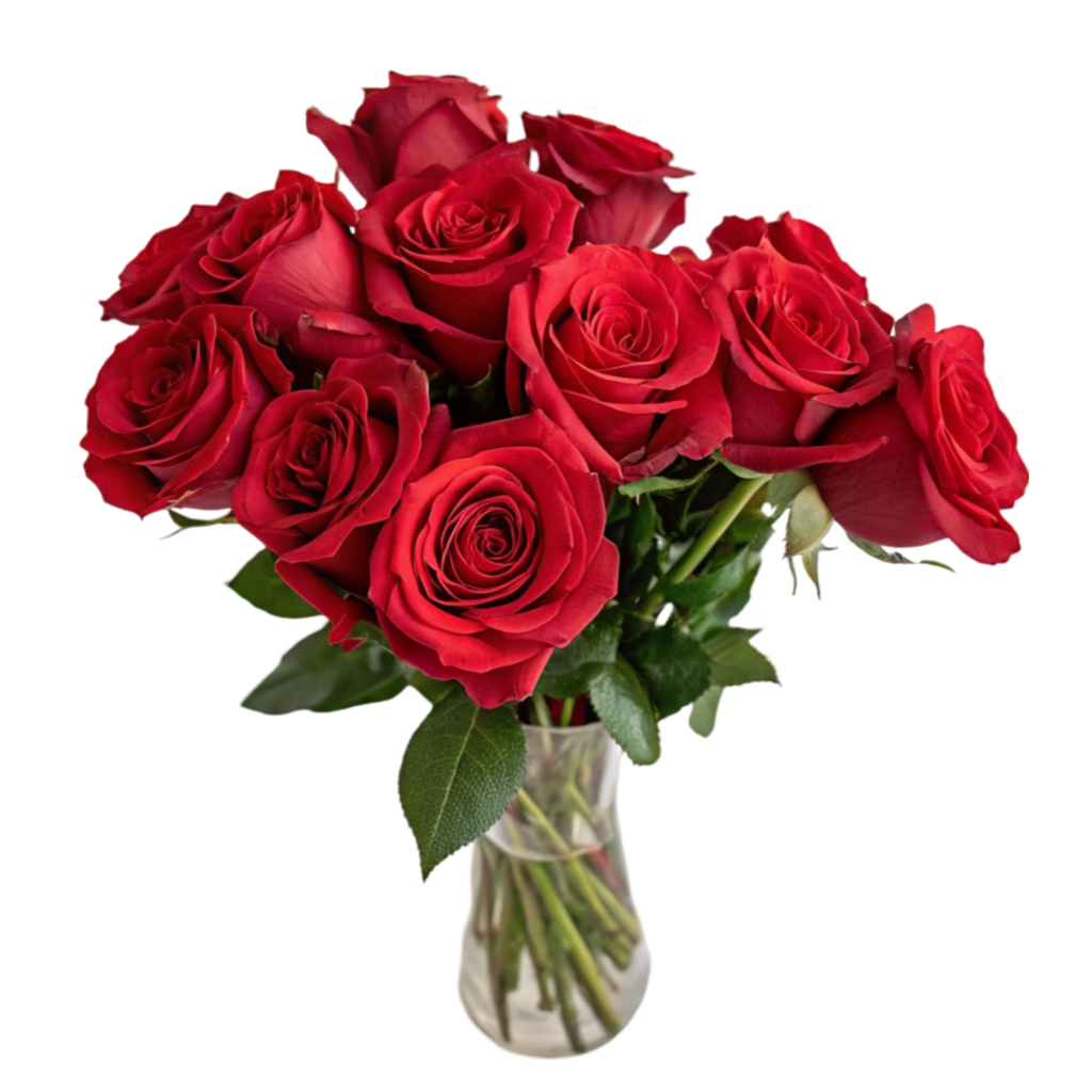 , Red Roses PNG Transparent Image Free Download | PNG Perfect