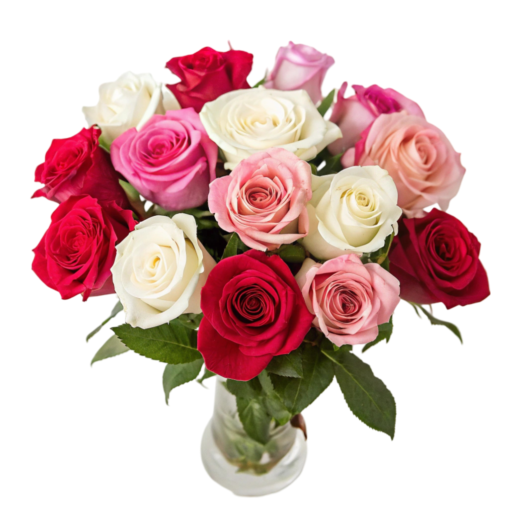 White, Red & Pink Roses PNG Transparent Image Free Download | PNG Perfect