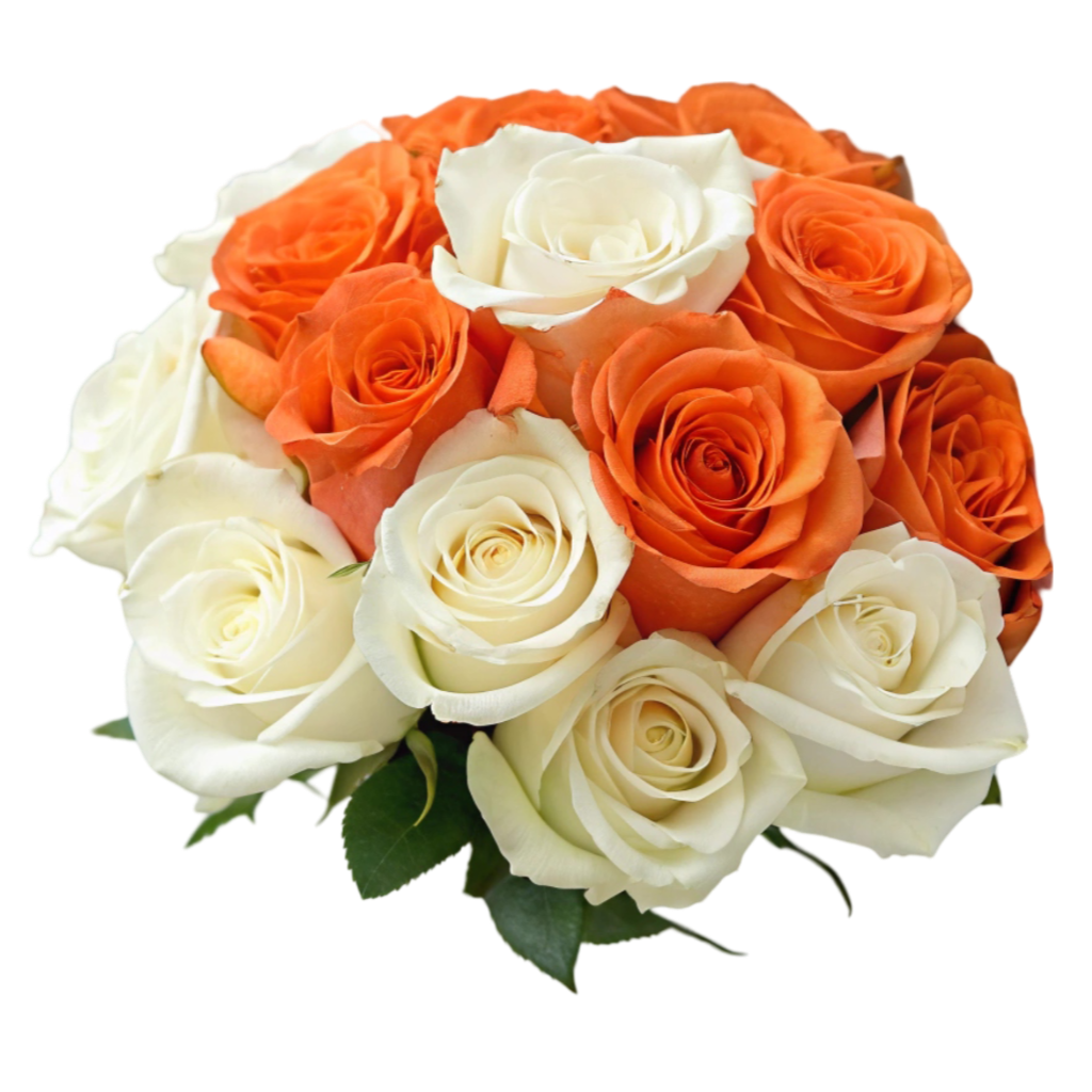 White & Orange Roses PNG Transparent Image Free Download | PNG Perfect