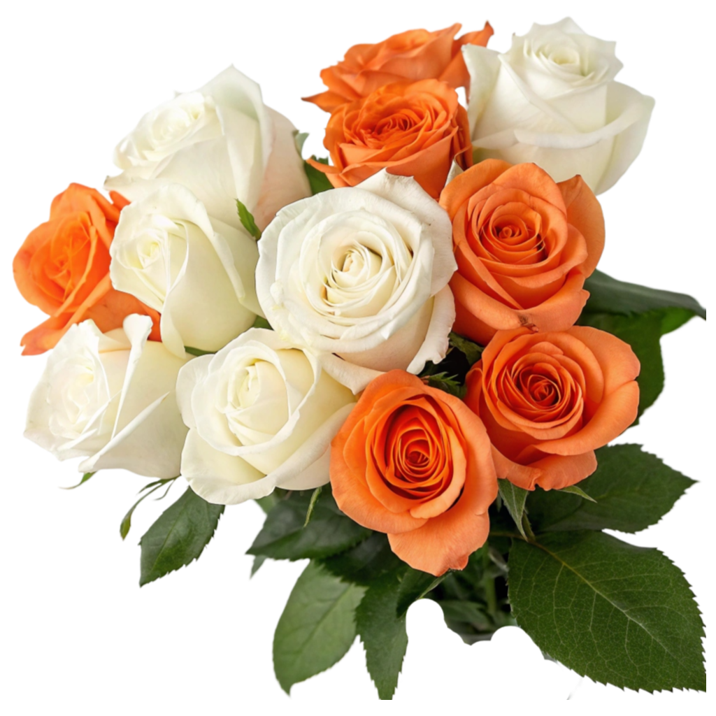 White & Orange Roses PNG Transparent Image Free Download | PNG Perfect