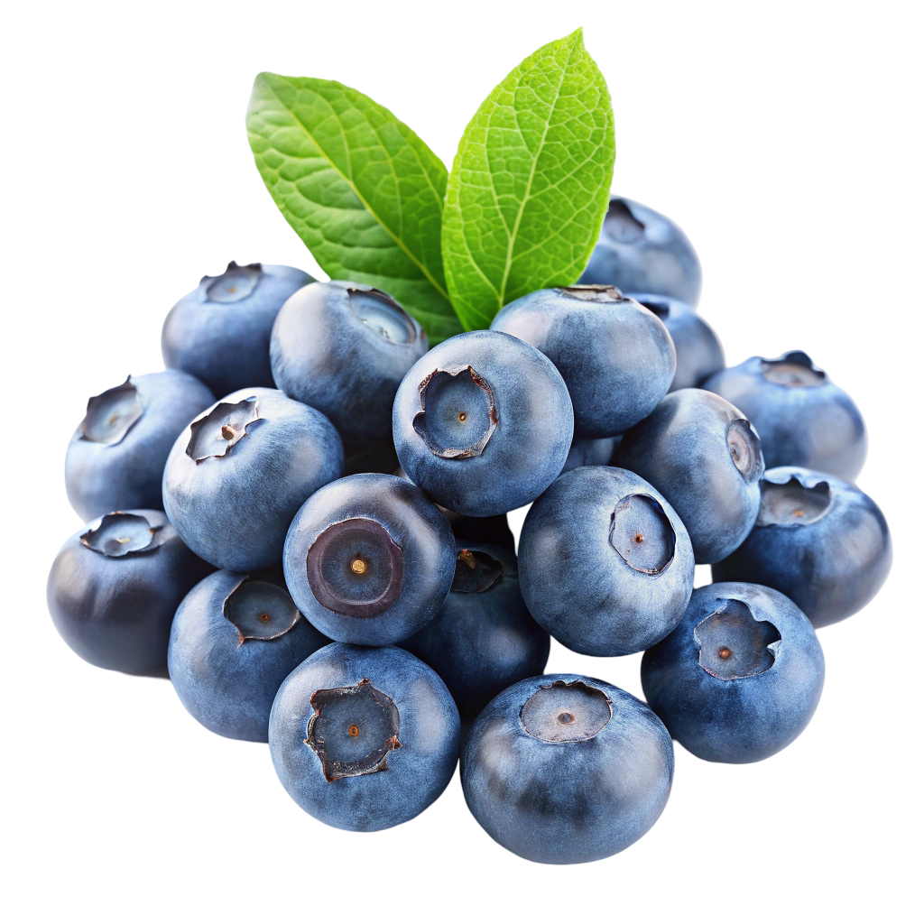 Blueberries PNG Transparent Image Free Download | PNG Perfect