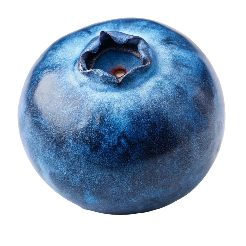 Blueberry PNG Transparent Image Free Download | PNG Perfect